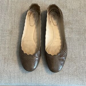 Chloe Lauren Scalloped Snake Print Leather Flats 39